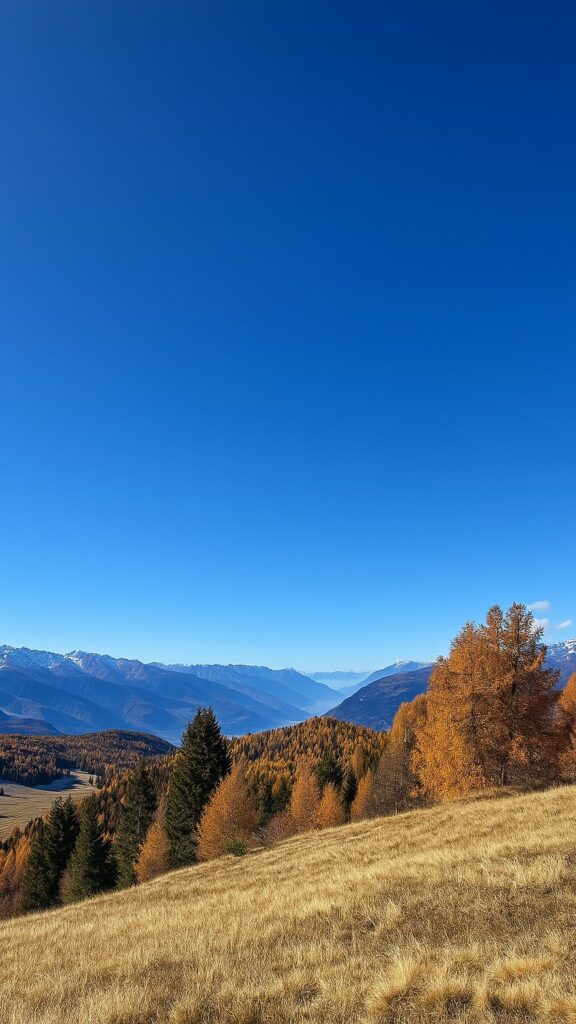 Larici d'autunno sopra Aprica