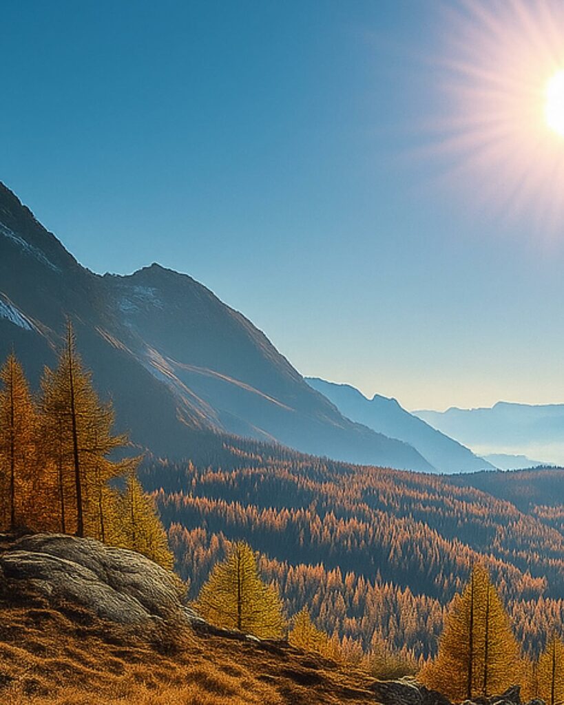 Larici dorati in Valmalenco a inizio novembre