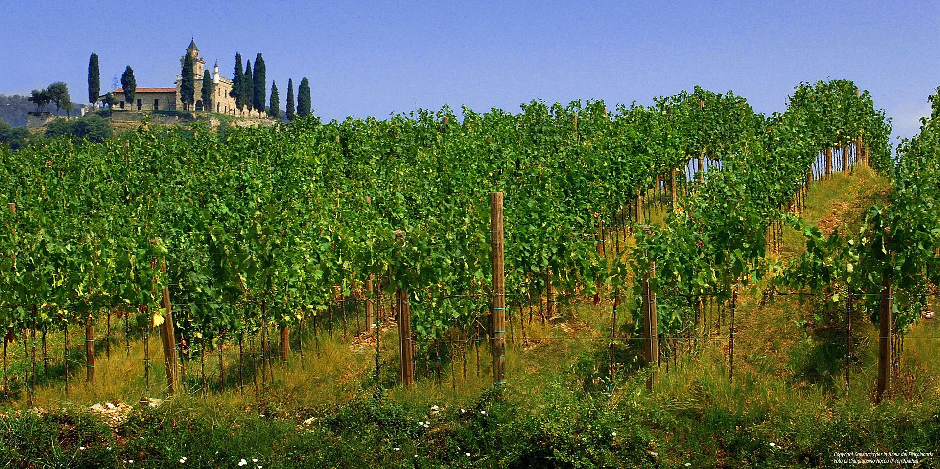 Vigneti in Franciacorta con la Santissima di Gussago