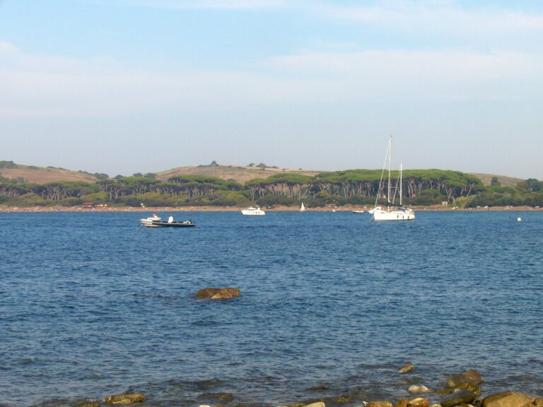 Il Golfo di Baratti con la pineta e il mare, in Toscana
