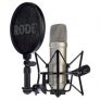 Rode Microphones – NT1A Microfono a diaframma largo per studi di registrazione / podcast, 19 x 5 x 5cm, 24V/48V, Oro